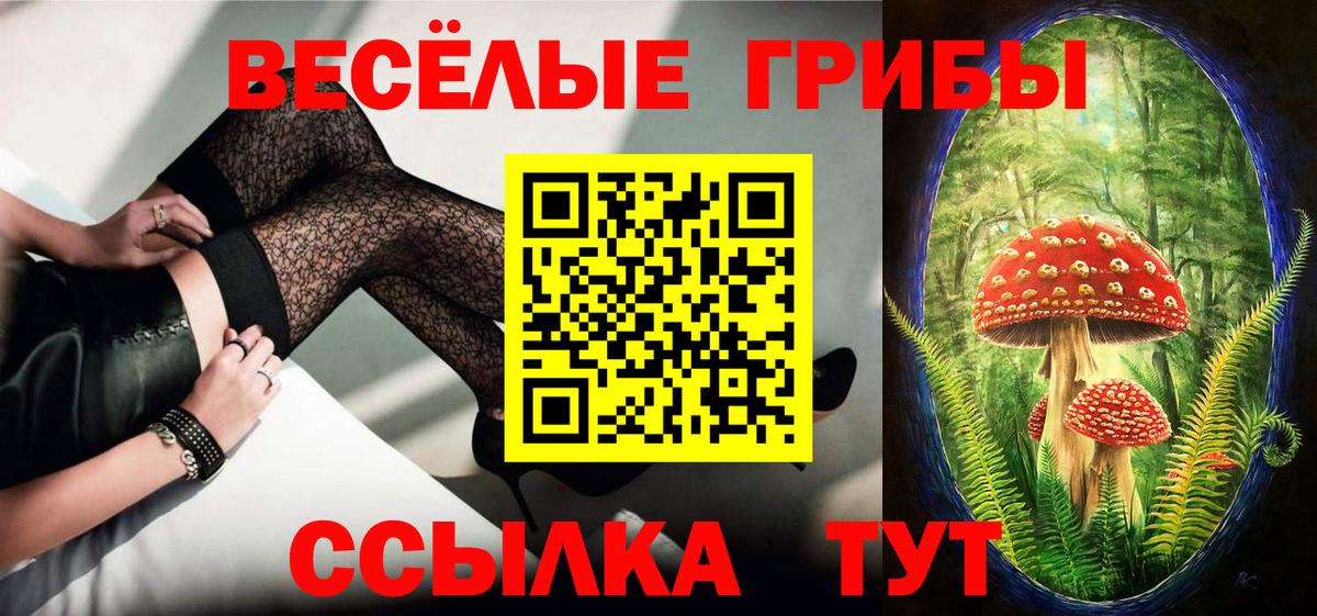 Кисловодск  Псилоцибиновые грибы ЛСД  Вход с VPN 