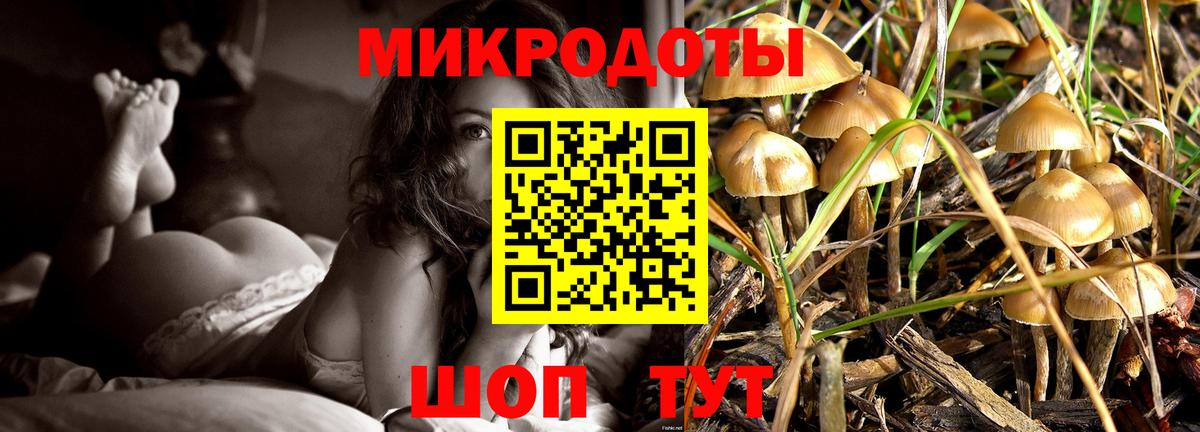 Галлюциногенные грибы Cubensis Кисловодск